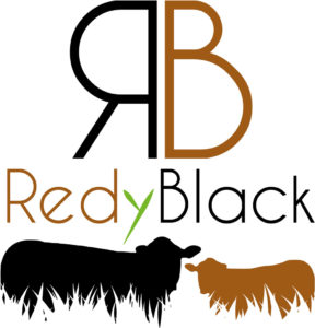 Création d'un logo pour une nouvelle race à viande